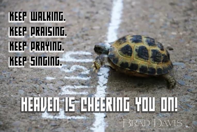 Turtle-CHeering2 Turtle-CHeering2